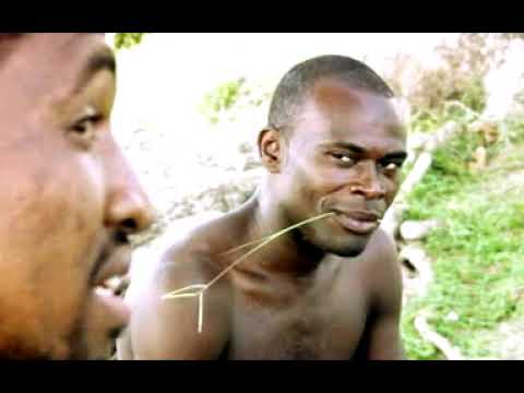 LE DONNEUR DE LEÇON