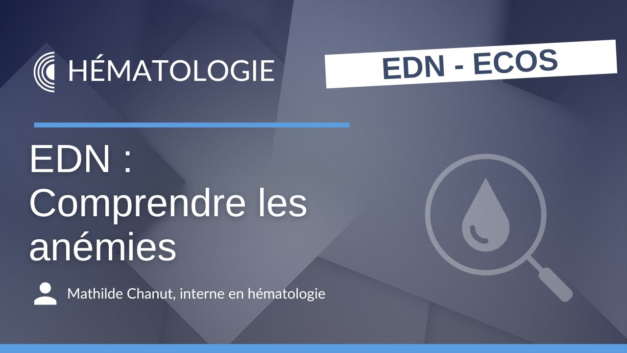 EDN : Comprendre les anémies