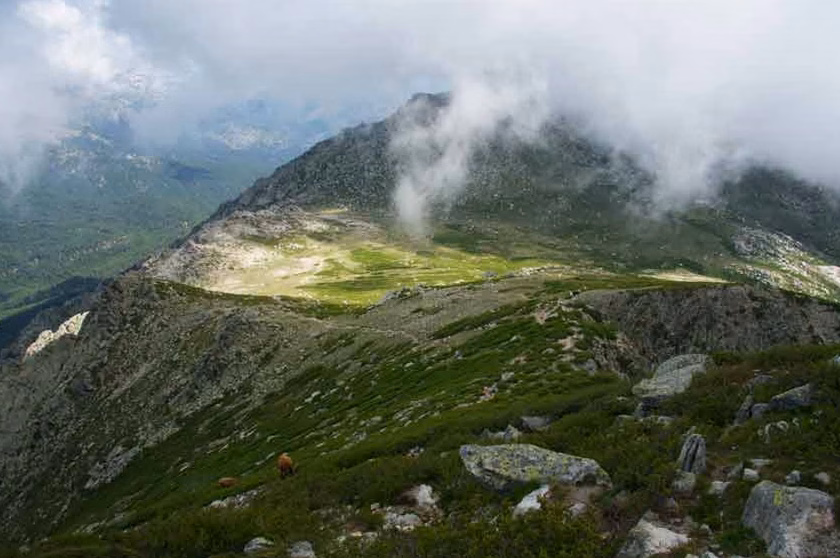 Sommet des Alpes : mots fléchés et énigmes